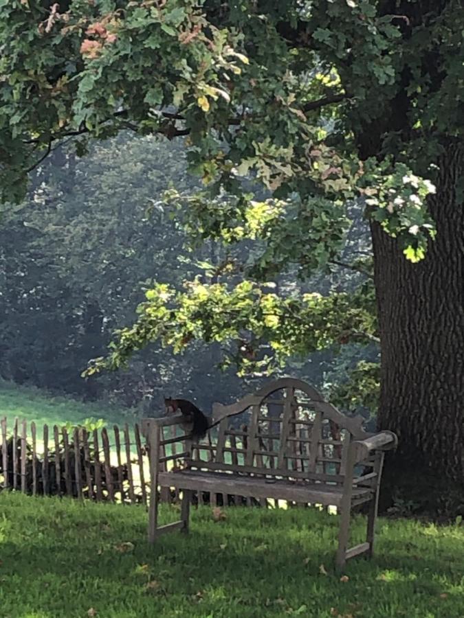 Gartenblick Ляйхлинген Экстерьер фото