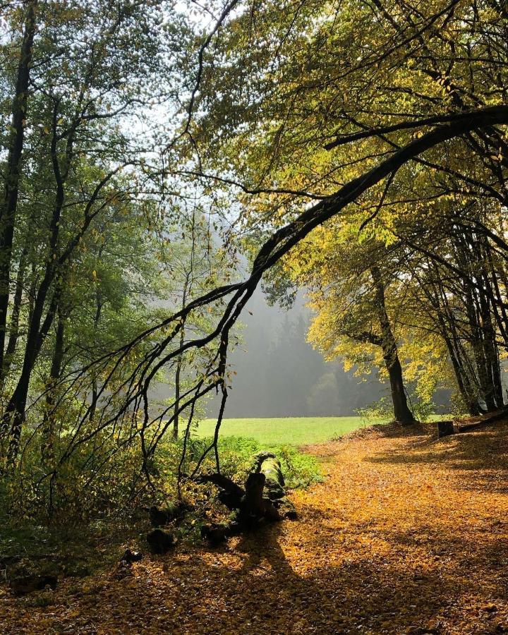 Gartenblick Ляйхлинген Экстерьер фото