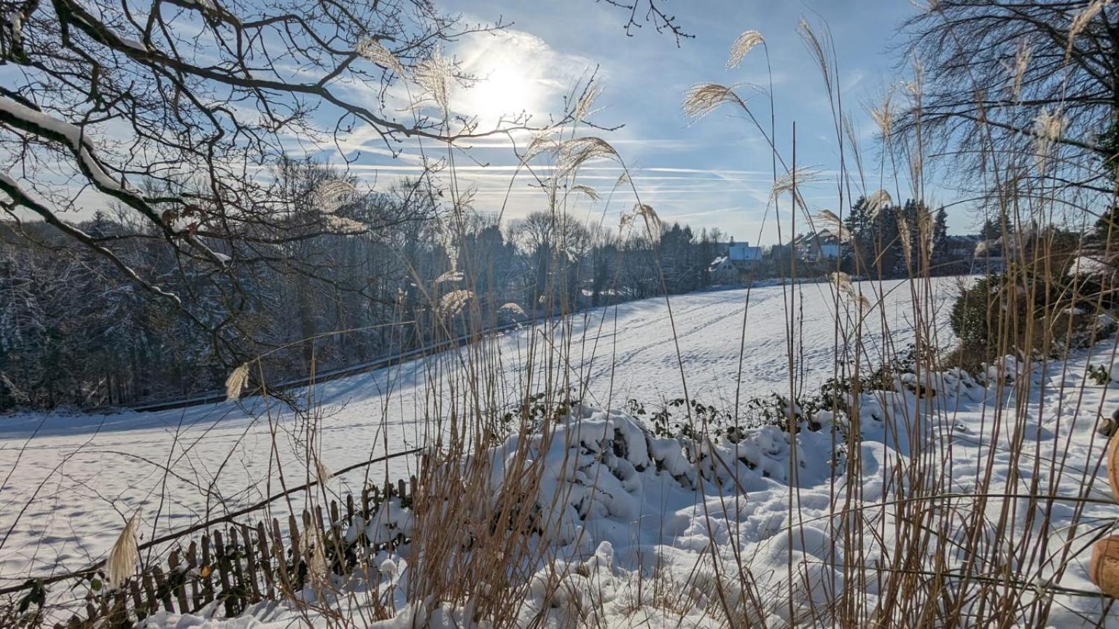 Gartenblick Ляйхлинген Экстерьер фото