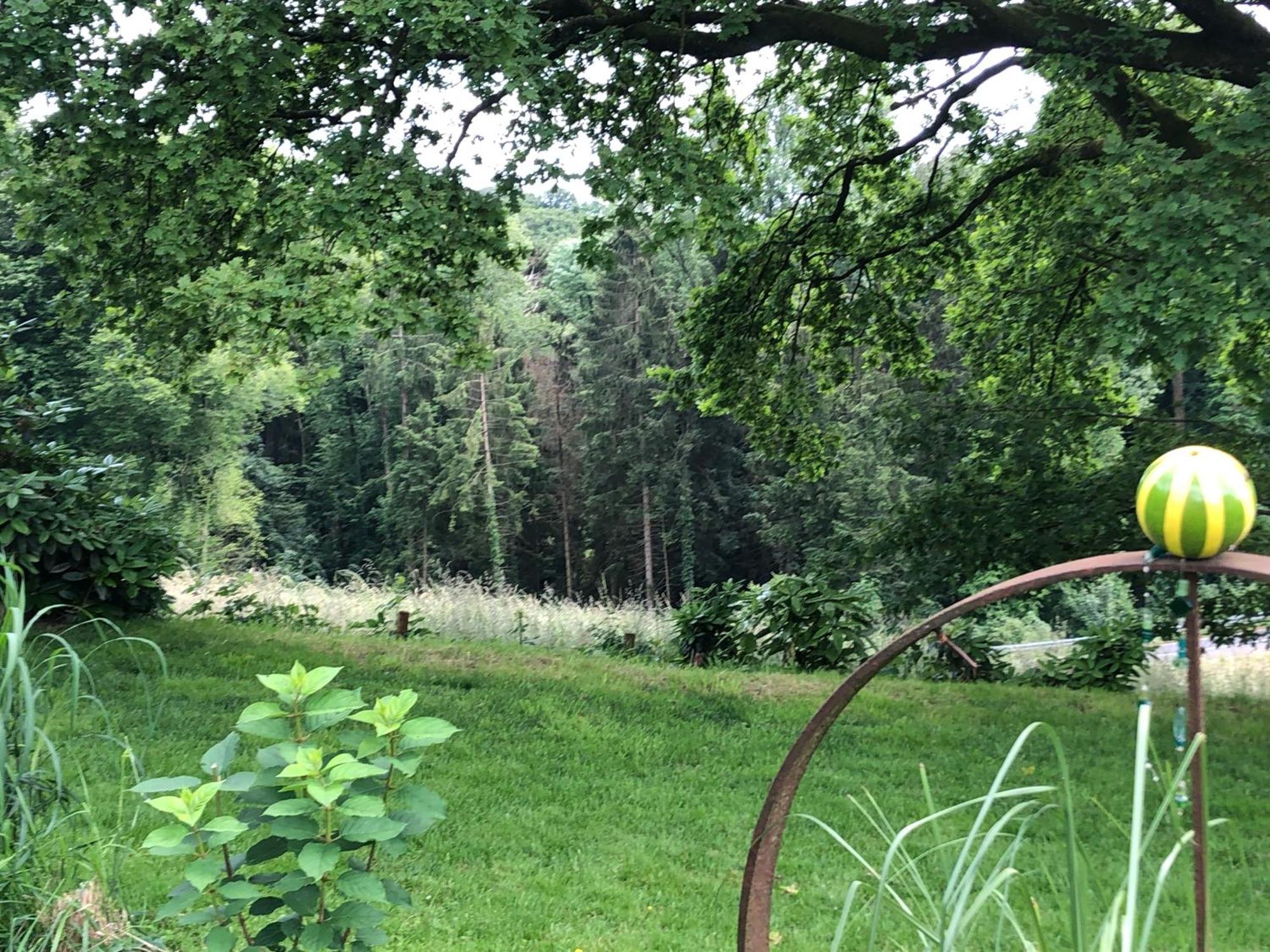 Gartenblick Ляйхлинген Экстерьер фото